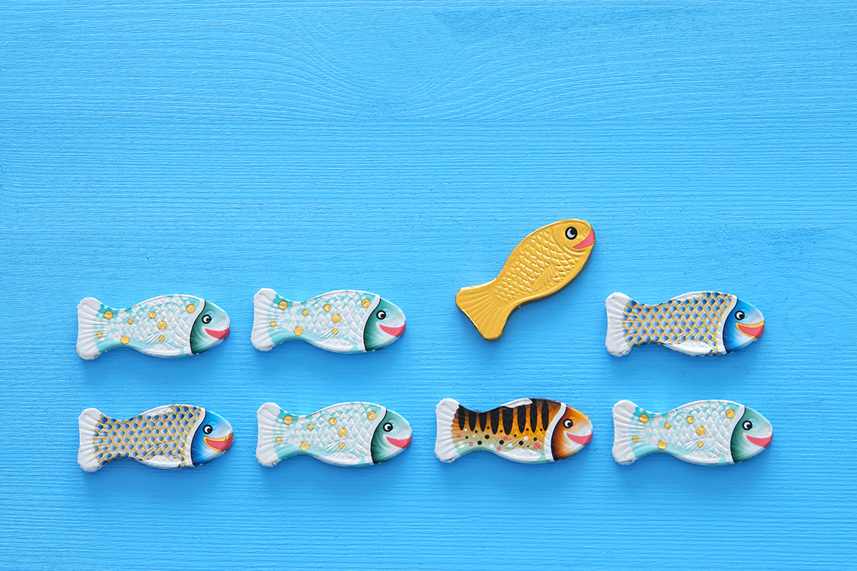 Fish Can’t Climb Trees: A Lesson on Comparison